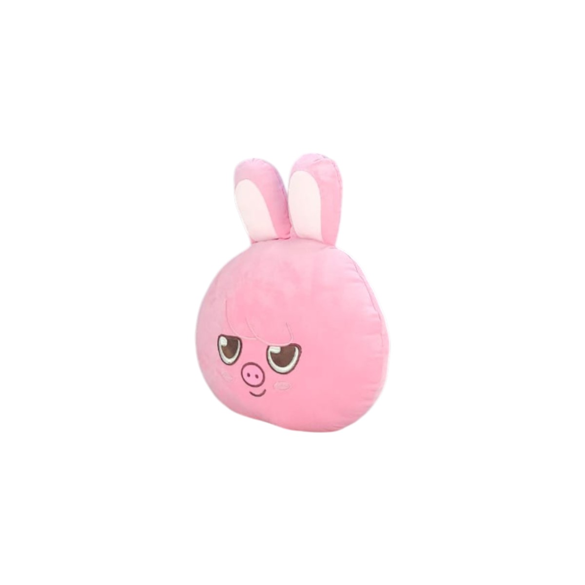 Cojin almohada  Stray Kids Daewekki