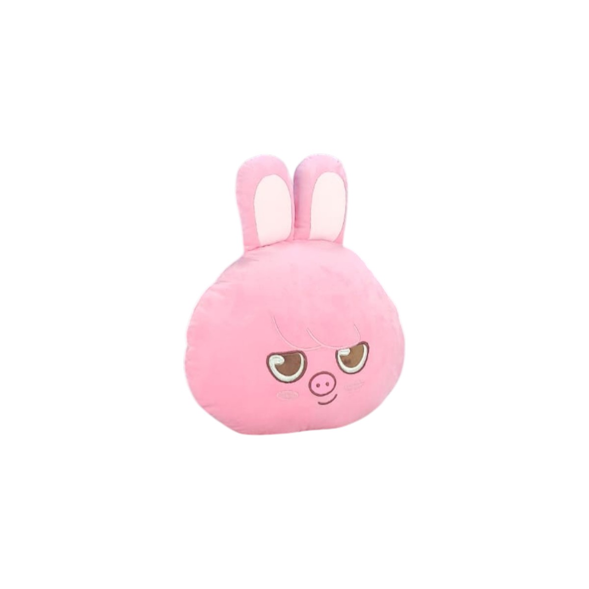 Cojin almohada  Stray Kids Daewekki