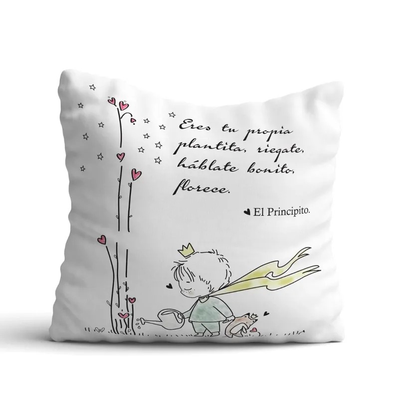 Cojín El Principito y zorrito plantita