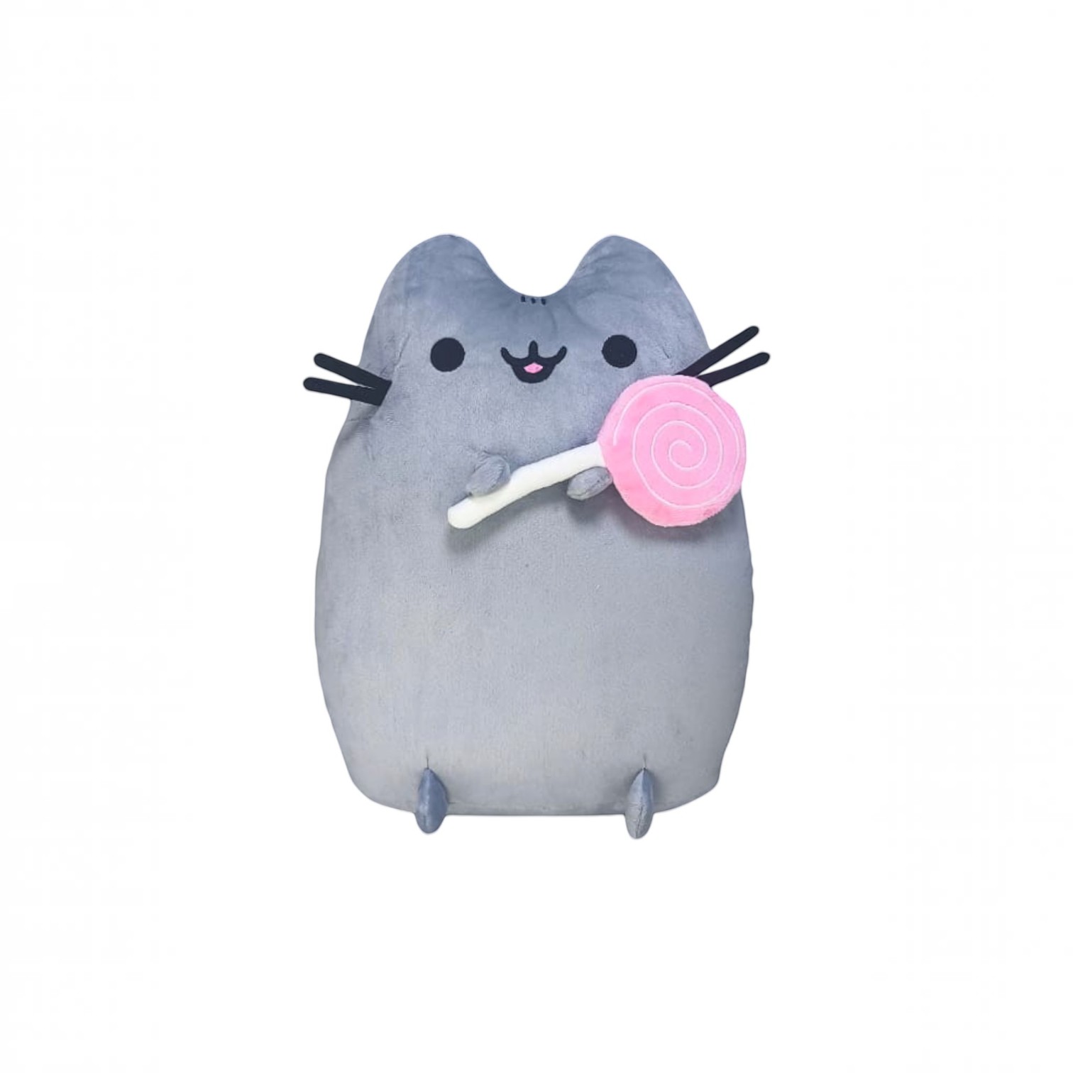 Peluche Pusheen Paleta