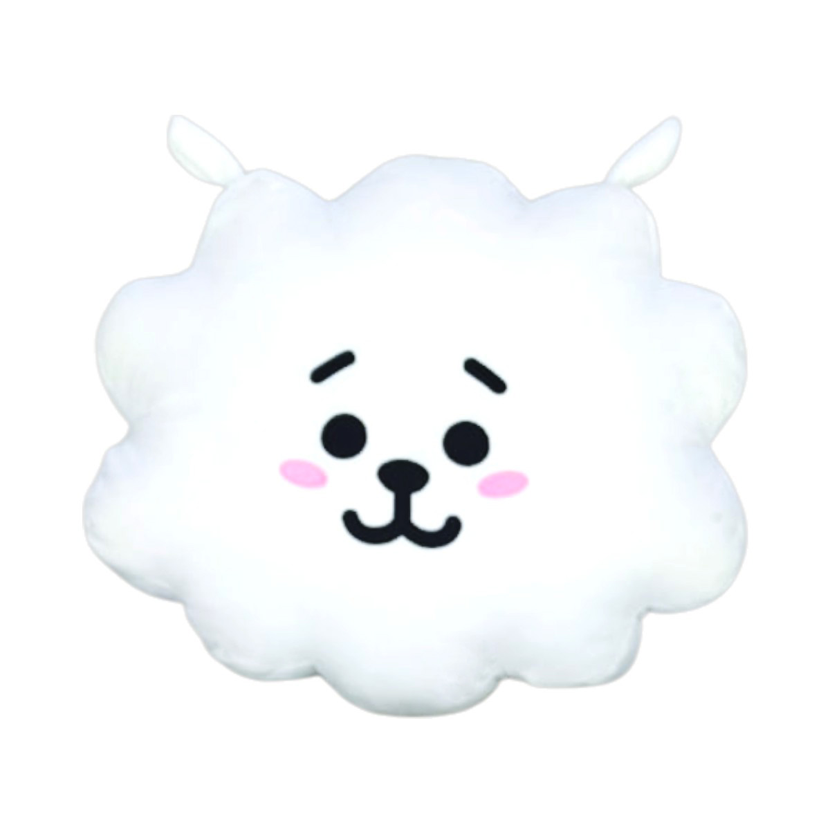 Cojín almohada BT21 RJ alpaca